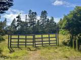 000 Robinhood Ave - Photo 4
