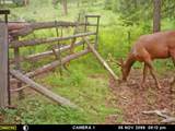  Low Gap Lane - Photo 15