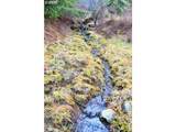  Low Gap Lane - Photo 16