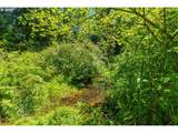 16218 Mason Rd - Photo 38