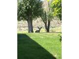 68883 Loop Dr - Photo 3
