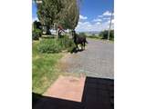 68883 Loop Dr - Photo 4
