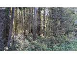 0 Lataurelle Ave - Photo 3