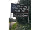  Or Coast Hwy - Photo 11