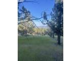 0 Wiley Creek Rd - Photo 3