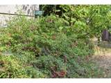 1230 Waite St - Photo 31