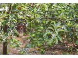 1230 Waite St - Photo 32