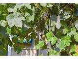 1230 Waite St - Photo 40