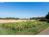 22141 Reeder Rd - Photo 43