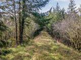  Criteser Loop - Photo 10