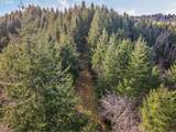  Criteser Loop - Photo 11