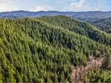  Criteser Loop - Photo 13