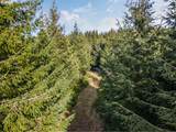  Criteser Loop - Photo 14