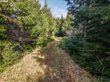  Criteser Loop - Photo 15