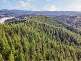  Criteser Loop - Photo 16