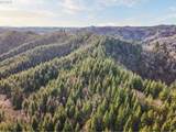  Criteser Loop - Photo 17