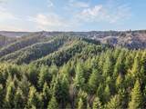  Criteser Loop - Photo 21