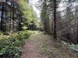  Criteser Loop - Photo 24