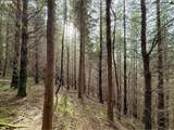  Criteser Loop - Photo 25