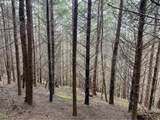  Criteser Loop - Photo 26