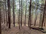  Criteser Loop - Photo 27