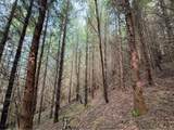  Criteser Loop - Photo 28