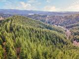  Criteser Loop - Photo 5