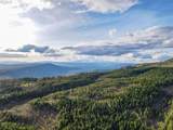 0 Lot 7 Greyback Mtn Rd - Photo 1