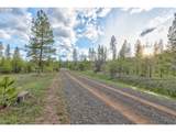 0 Lot 7 Greyback Mtn Rd - Photo 2