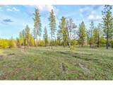 0 Lot 7 Greyback Mtn Rd - Photo 3