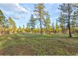 0 Lot 7 Greyback Mtn Rd - Photo 4
