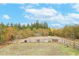 33781 Mount Tom Dr - Photo 43