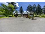 45632 Mckenzie Hwy - Photo 5