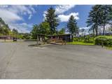 45632 Mckenzie Hwy - Photo 6