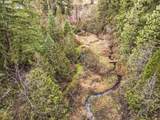 47731 Lyons Mill City Dr - Photo 4