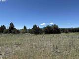  Modoc Point Road - Photo 18