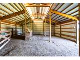 503 Carnine Rd - Photo 26