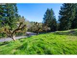 503 Carnine Rd - Photo 40