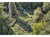 1908 Bonniebrae Dr - Photo 46