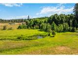 851 Snowden Rd - Photo 37