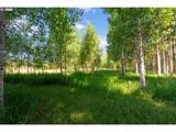 851 Snowden Rd - Photo 40
