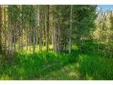 851 Snowden Rd - Photo 45