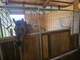 91146 Pioneer Farm Rd - Photo 11