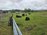 91146 Pioneer Farm Rd - Photo 15