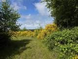91146 Pioneer Farm Rd - Photo 23