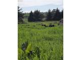 91146 Pioneer Farm Rd - Photo 25