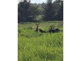 91146 Pioneer Farm Rd - Photo 26