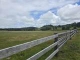 91146 Pioneer Farm Rd - Photo 3