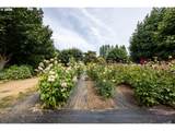 90514 Lure Ln - Photo 38