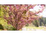 90514 Lure Ln - Photo 45
